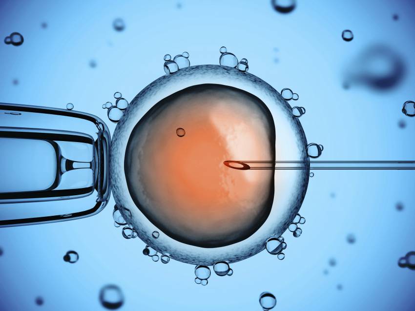 Künstliche Befruchtung und In-vitro-Fertilisation - Was sind die Unterschiede?