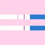 Positiver und negativer Ovulationstest mit Teststreifen zur Bestimmung der fruchtbaren Tage