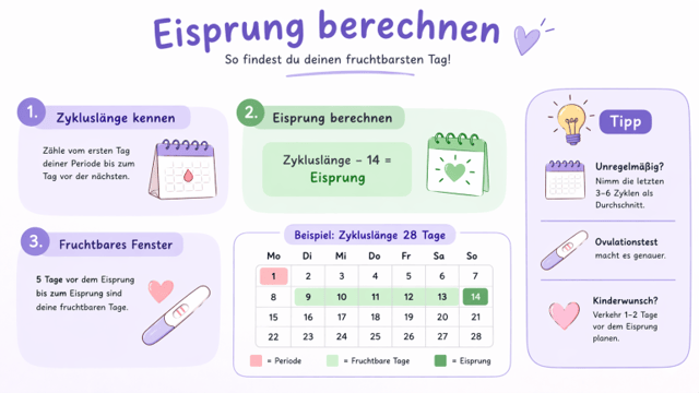 Eisprung berechnen – Infografik zur Bestimmung des fruchtbaren Fensters anhand der Zykluslänge