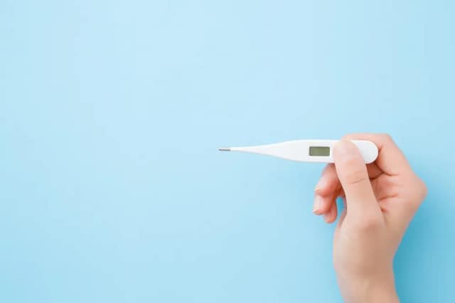 Junge Frau hält weißes digitales Thermometer auf blauem Hintergrund zur Messung der Basaltemperatur schwanger werden Methode