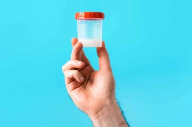Männliche Hand hält Plastikbecher mit Sperma für Befruchtung zu Hause