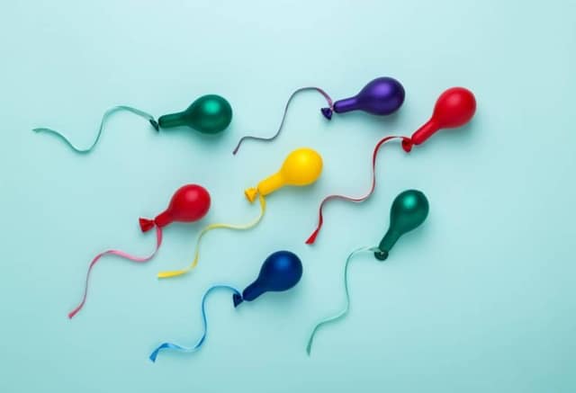 bunte Luftballons spermatozoide Form