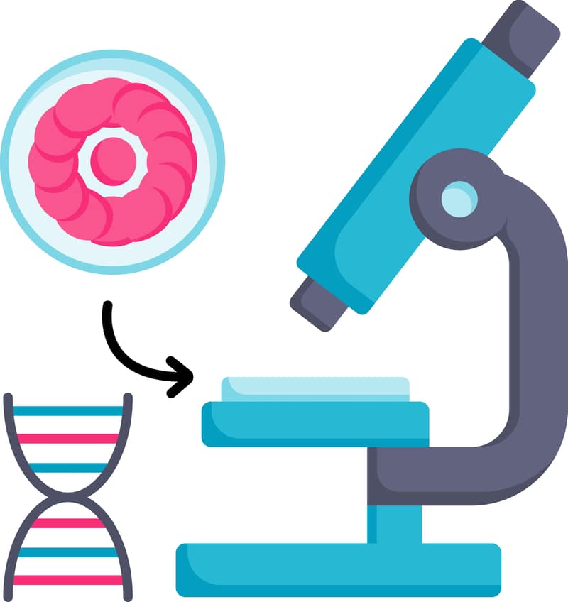 Präimplantationsdiagnostik Testkonzept