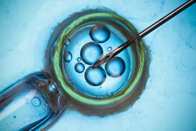IVF Wissen Darstellung von Eizellen und mikrochirurgischer Befruchtung im Labor unter dem Mikroskop