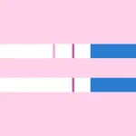Positiver und negativer Ovulationstest mit Teststreifen zur Bestimmung der fruchtbaren Tage