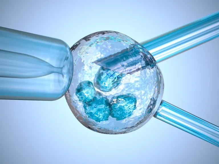 Kinderwunsch behandlung – medizinische Darstellung einer künstlichen Befruchtung (IVF) mit Injektion eines Spermiums in eine Eizelle